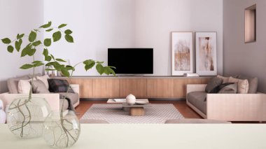 Beyaz masa üstü ya da rafta cam vazo ile hidrofonik bitki, süs, bitki kökü, vazo, ev bitkisi, oturma odası kanepe arka planı, iç tasarım