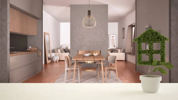 Witte tafel of plank met groene plant in de vorm van een pot huis, gezellige keuken met tafel en stoelen achtergrond, interieur, onroerend goed, eco architectuur concept idee — Stockfoto