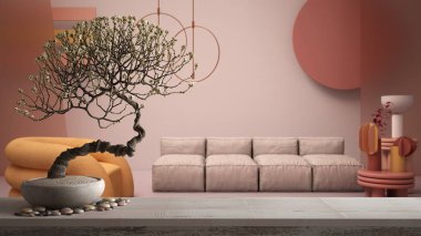 Çakıl taşı ve saksılı ahşap masa rafı, beyaz çiçekler, renkli modern oturma odası, pastel renkler, kanepe, koltuk, zen temiz mimari konsept fikri.