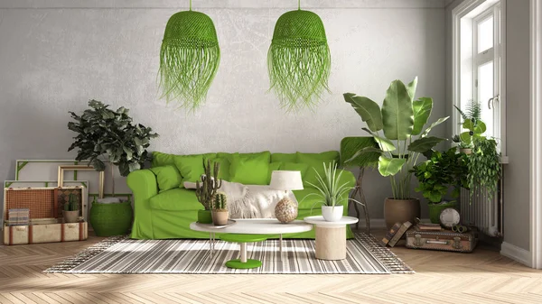 Vintage, old style living room in green tones, Sofa, carpet, pillows and rattan pendant lamps, tables with decors and potted plants, carpet, window, retro interior design concept