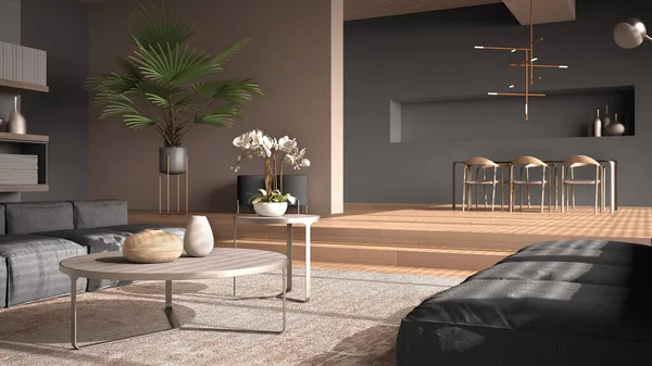 Modernes Wohnzimmer Grautönen Flur Offener Raum Mit Eichenparkett Mit Stufen — Stockfoto