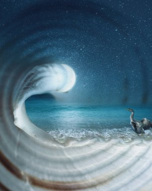 Boş bir nautilus kabuğunun içindeki hayal ötesi deniz manzarası, yıldızlı gökyüzü ve ay ile gece sahnesi.