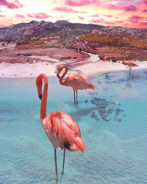Surrealistický Vizionářský Obraz Pohled Ptačí Perspektivy Mořskou Krajinu Ústím Řeky — Stock fotografie
