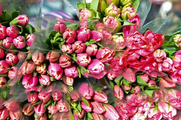 Цветы Розовых Тюльпанов Продажу Много Букетов — стоковое фото