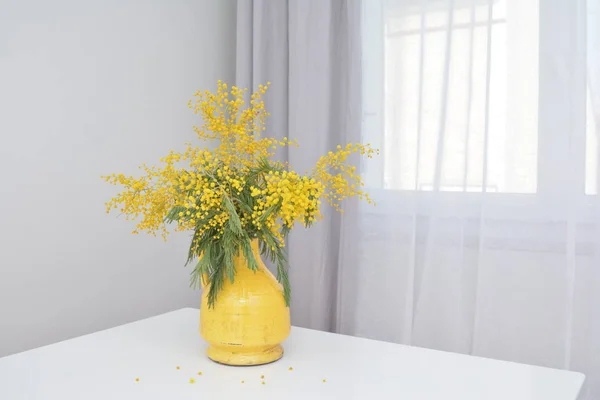 Flor mimosa sobre una mesa blanca — Foto de Stock