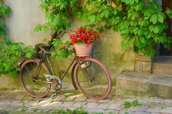 Starý rezavý bicykl s květinami v košíku — Stock fotografie