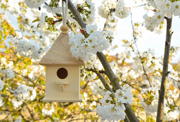 Vogelhaus mit Blüte Kirschblüte — Stockfoto
