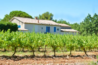 Üzüm bağları ve Provence bir tipik Provencal evde