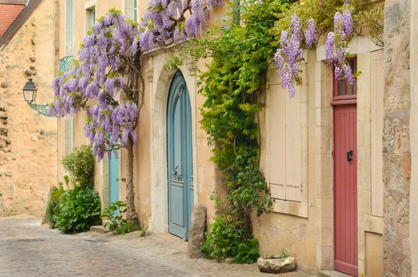 Старые деревянные французские двери со скалолазанием wisteria на стене Париж — стоковое фото