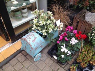 Özgün saksı Ekim için tencere bitkiler