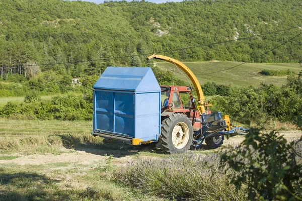 Il trattore corre su un campo di lavanda in Provenza Raccolta — Foto Stock