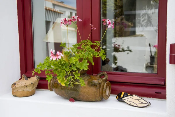 Окно украшено цветами гераниума в Провансе Франция — стоковое фото