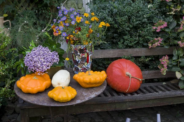 Halloween decorated in a garden with various size and shape pumpkins — Stock Photo, Image