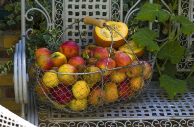 Sepet elma beyaz bankta