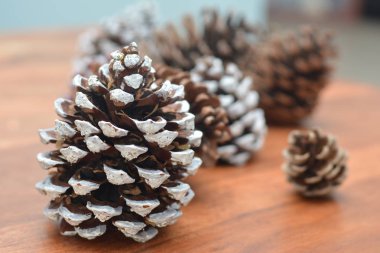 Çam kozalakları ahşap arka plan üzerinde farklı boyutlarda