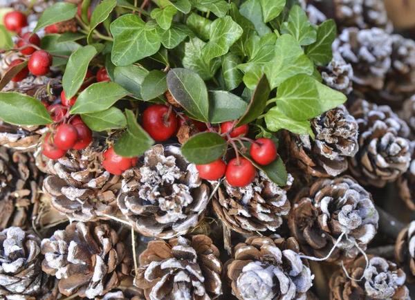 Rote Weihnachtsbeeren und Zapfen im Schnee — Stockfoto