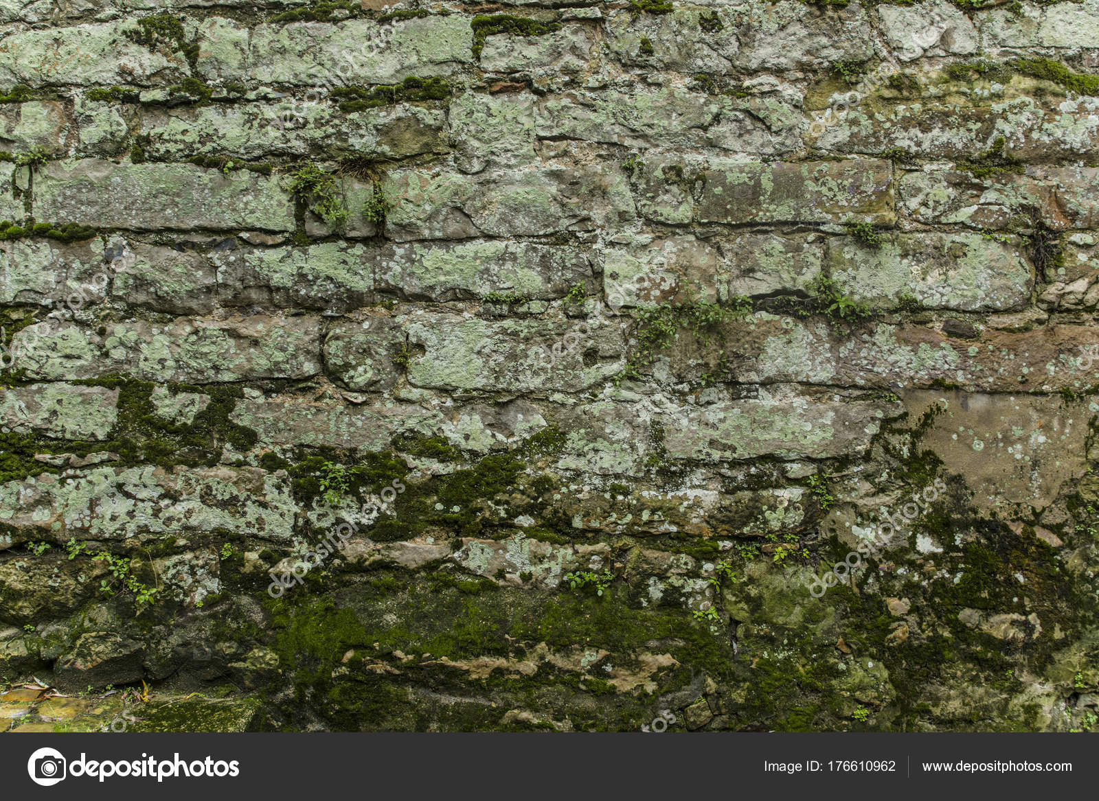 Old Brick Wall Moss Texture Background Stock Photo By C Kipgodi 176610962