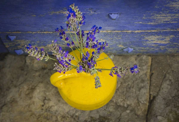 Лаванда Желтом Кувинуме Фоне Фиолетовой Потрепанной Двери — стоковое фото