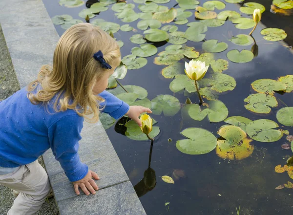 Mädchen versucht, Seerosenblumen zu pflücken — Stockfoto