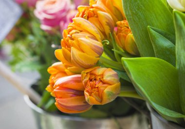 Taze turuncu laleler