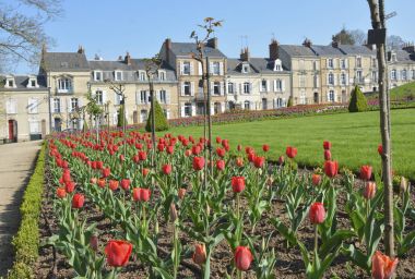 Lale çiçekleri dizeleri