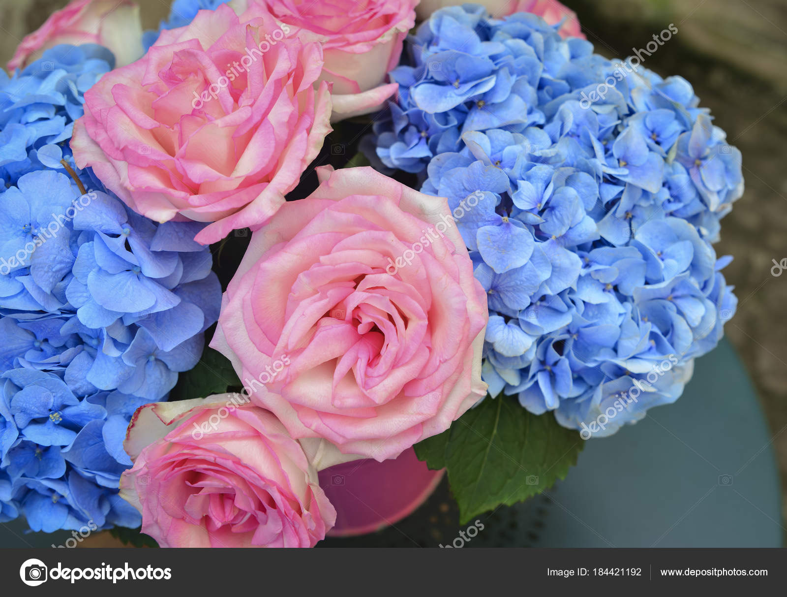 Bouquet Pink Roses Blue Hydrangea Vase Stock Photo Image By C Kipgodi 184421192
