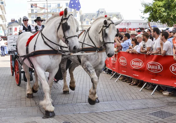 LE MANS, FRANCIA - 13 DE JUNIO DE 2014: Dos caballos blancos con jinetes en un desfile de pilotos de carreras —  Fotos de Stock