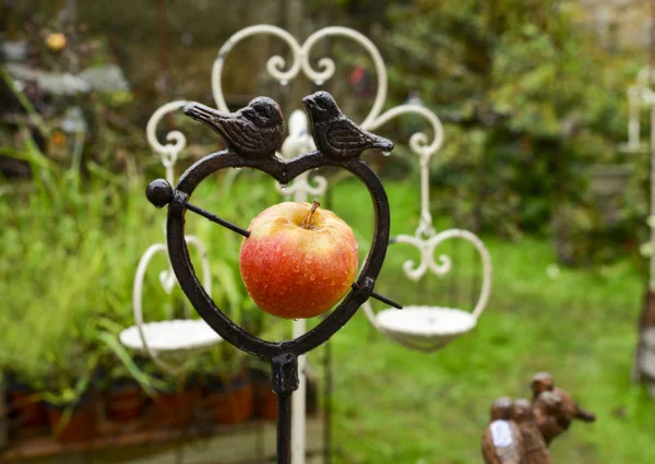 Alimentador de pássaros de metal com maçã em forma de coração — Fotografia de Stock