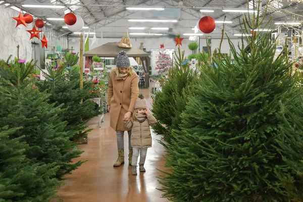 Anne ve kızı dükkandan bir Noel ağacı seçiyor. — Stok fotoğraf