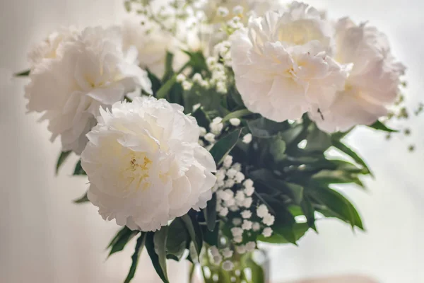Pivoines blanches fleurs en vase sur fond blanc — Photo