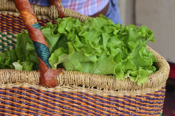 Green salad in a straw natural bag Zero waste