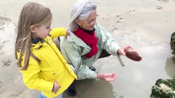 Nonna e nipote trovato guscio di granchio nell'oceano — Video Stock