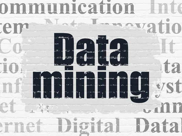 Information concept: Data Mining on wall background — Stock Photo, Image