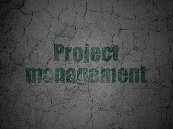 Finance concept: Project Management on grunge wall background — Stock Photo, Image