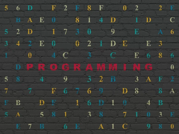 Концепция программного обеспечения: Программирование на стене — стоковое фото