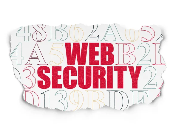 Privacy concept: Web Security op gescheurd papier achtergrond — Stockfoto