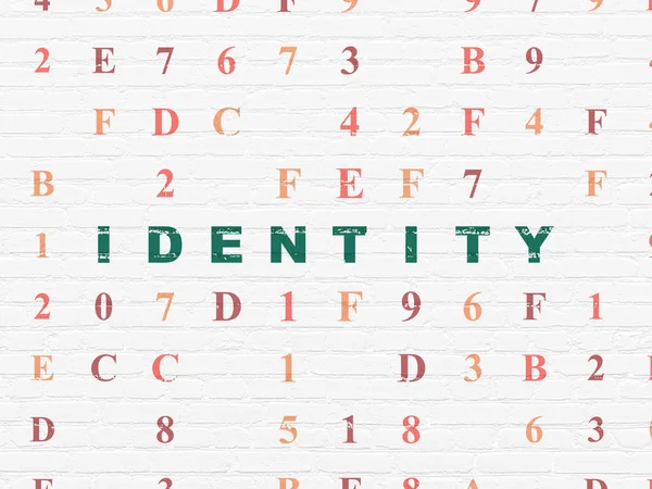 Protection concept: Identity on wall background — Stock Photo, Image