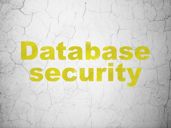 Safety concept: Database Security on wall background — Stock Photo, Image