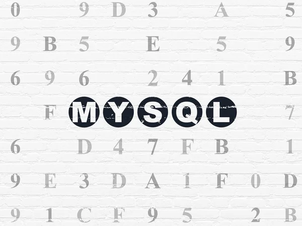 Concept de programmation : MySQL sur fond mural — Photo