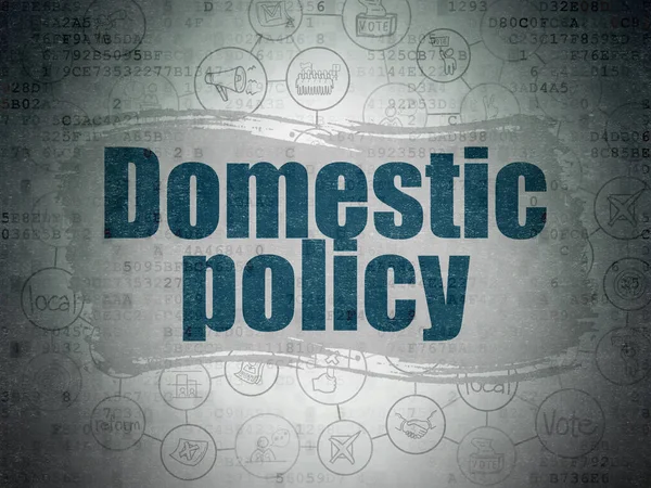Politics concept: Domestic Policy on Digital Data Paper background