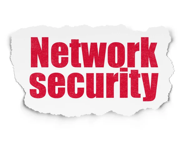 Koncepcja prywatności: Bezpieczeństwo sieci na tle podartego papieru — Zdjęcie stockowe