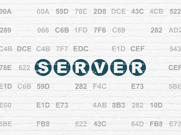 Concetto di sviluppo Web: Server su sfondo wall — Foto Stock
