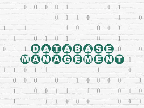 Software concept: Database Management on wall background — Stock Photo, Image