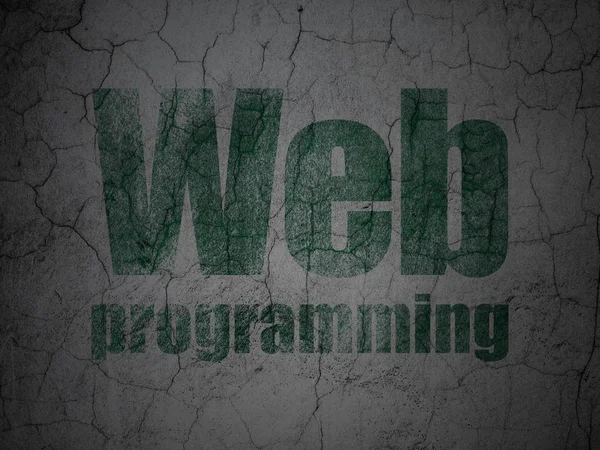 Web designkoncept: Webbprogrammering på grunge vägg bakgrund — Stockfoto