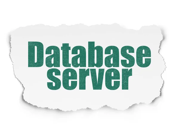 Softwarekonzept: Datenbankserver auf zerrissenem Papierhintergrund — Stockfoto
