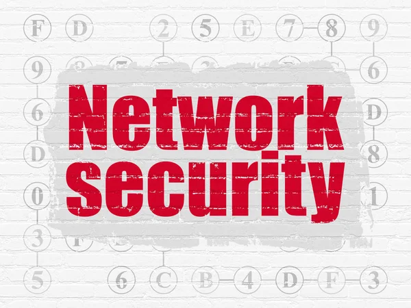 Concepto de protección: Seguridad de la red en fondo de pared — Foto de Stock