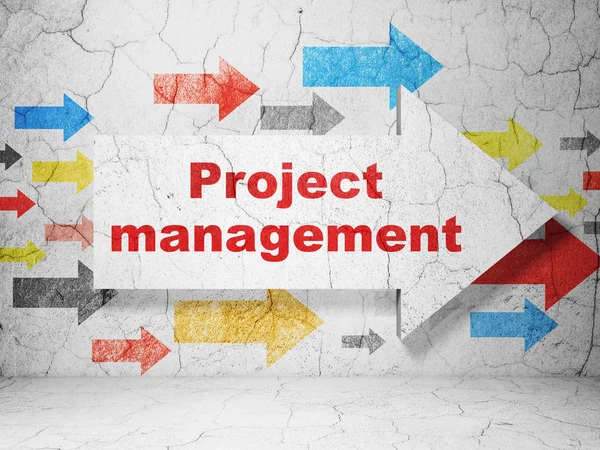 Concept d'entreprise : flèche avec Project Management sur fond de mur grunge — Photo
