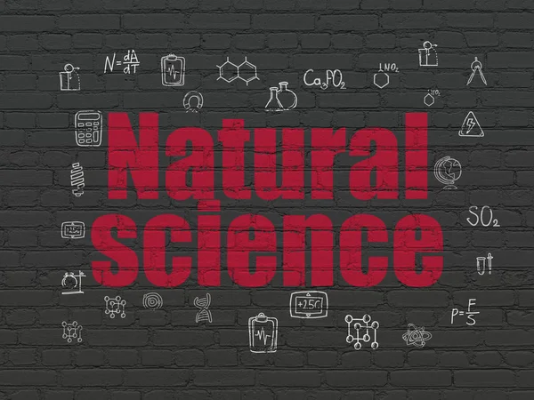 Conceito de ciência: Ciência natural no fundo da parede — Fotografia de Stock