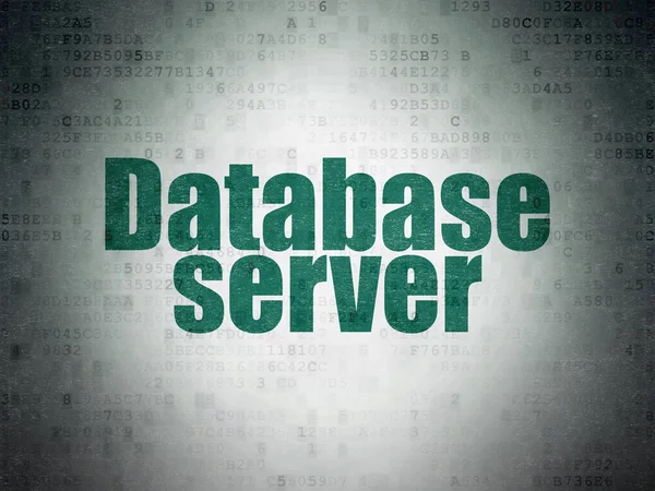 Concetto di software: Server di Base di dati su sfondo di Carta di dati Digitale — Foto Stock