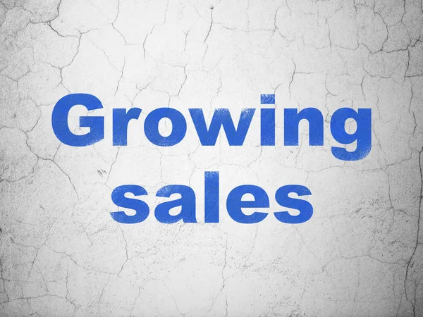 Conceito de negócio: Crescer as vendas no fundo da parede — Fotografia de Stock